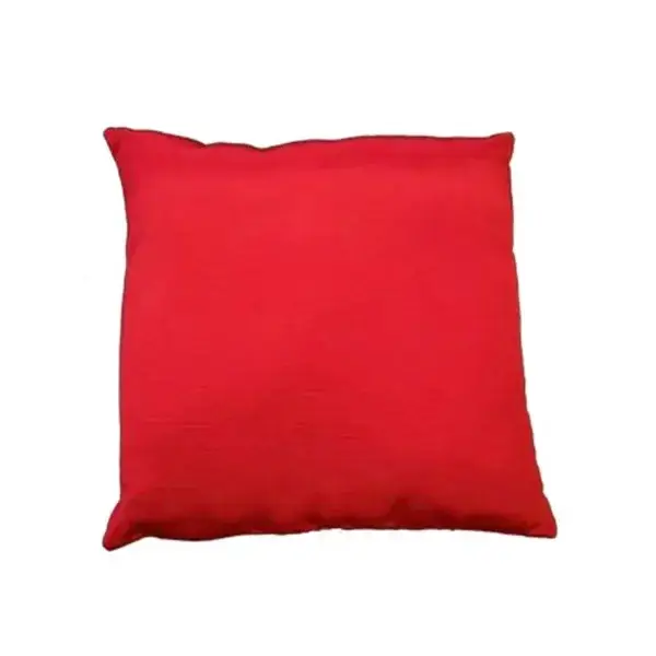 COUSSIN INAUGURATION